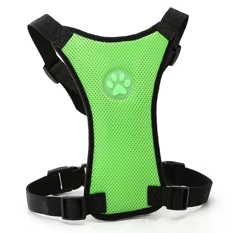 PawRide Safety Harness