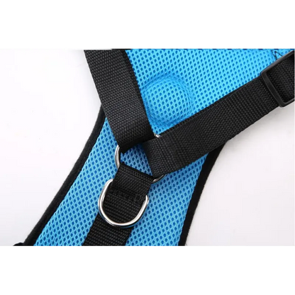 PawRide Safety Harness