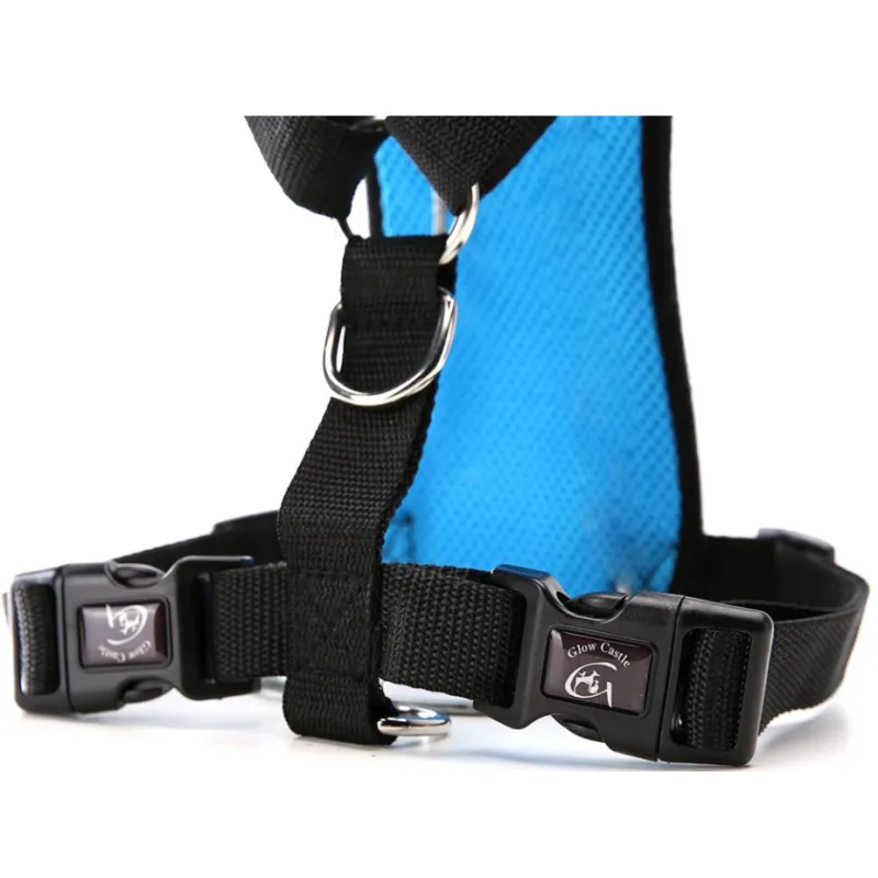 PawRide Safety Harness