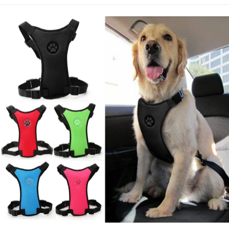 PawRide Safety Harness