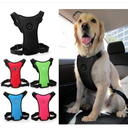 PawRide Safety Harness