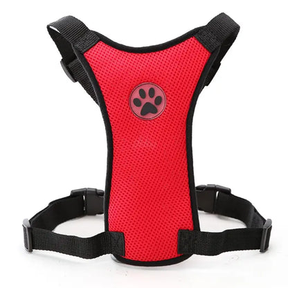 PawRide Safety Harness